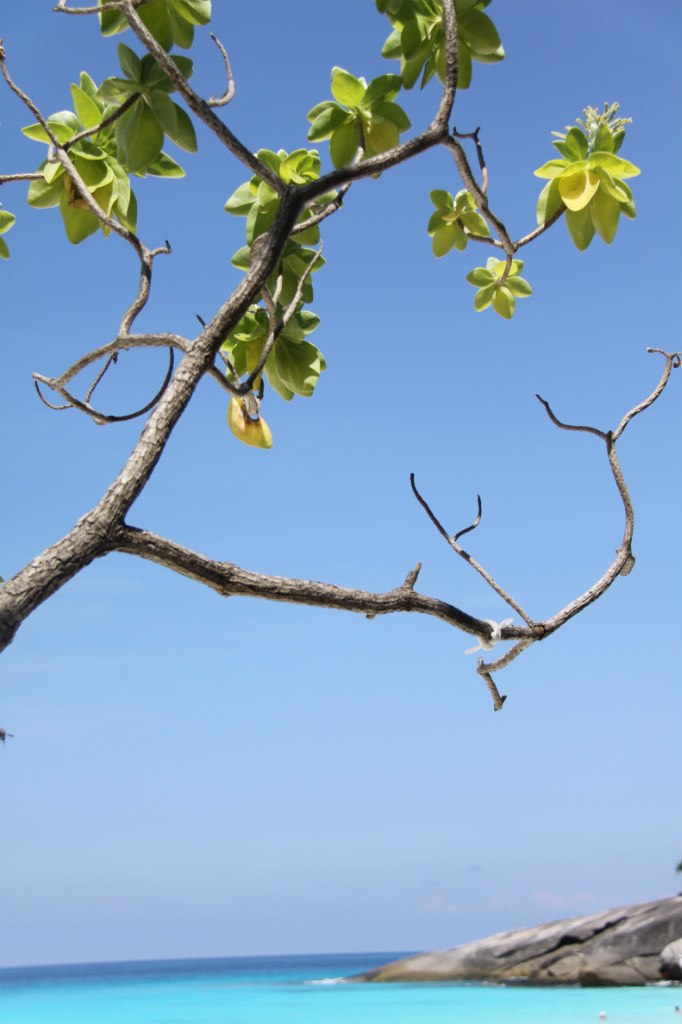 Наталья Новохатская | Москва