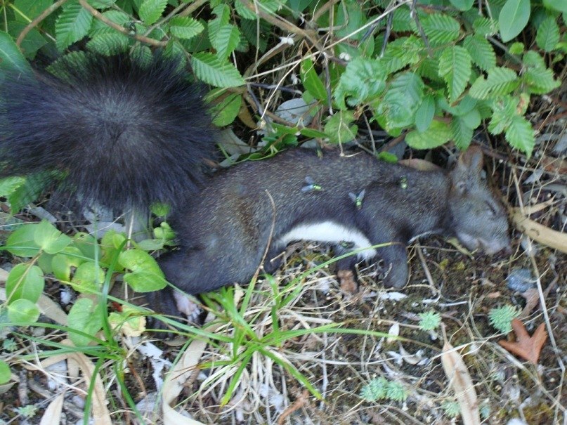 Артур Хаитов | 