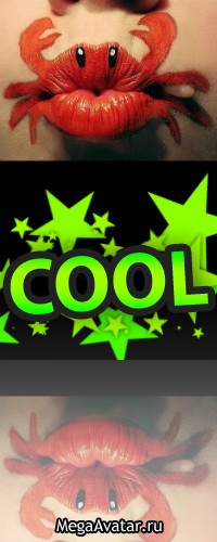 №9, Павел Дмитриев №9, Павел Дмитриев