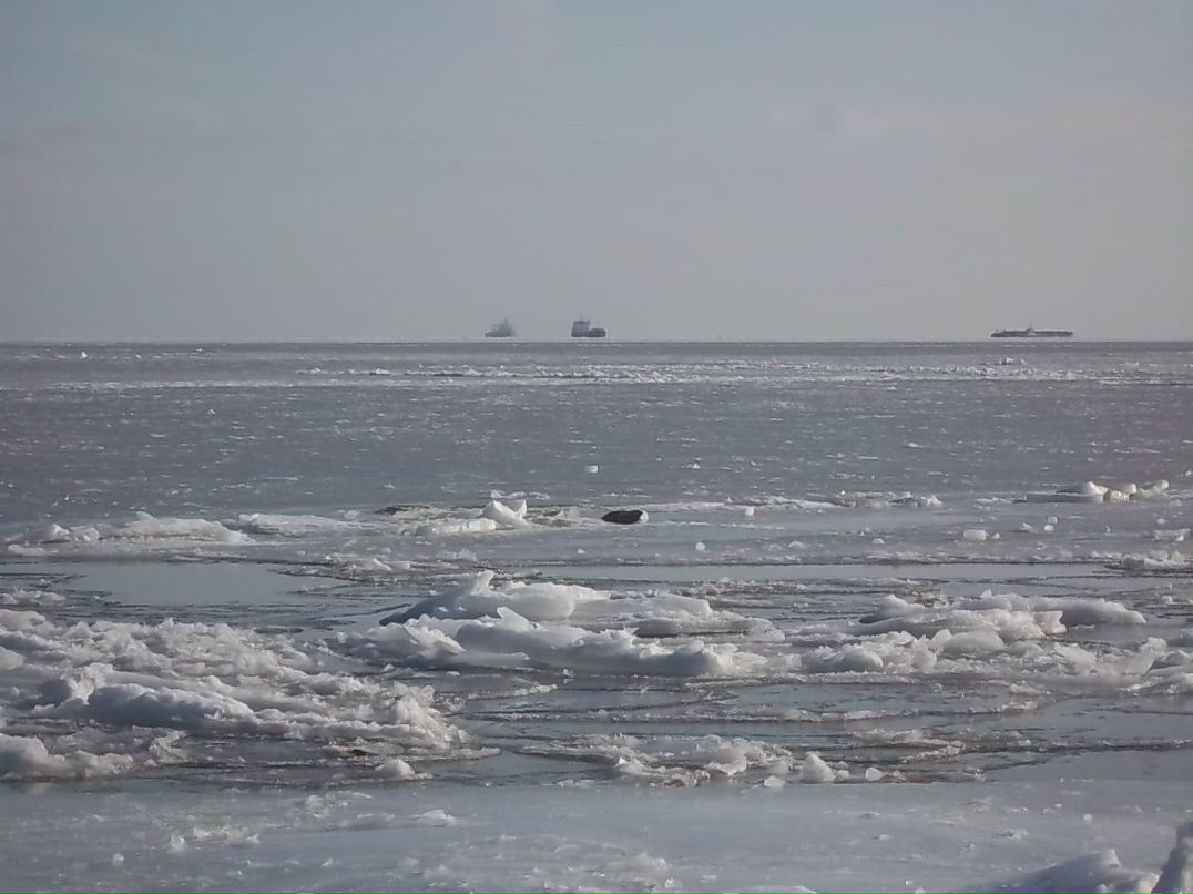 Аня Унтилова | Одесса