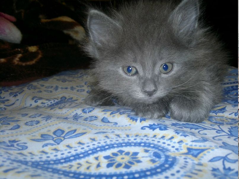 Наталья Варламова | Уфа