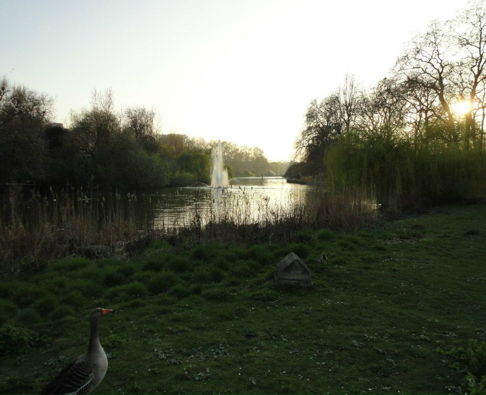 Анна Сватовская | Санкт-Петербург