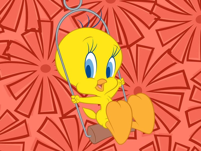 Илья Кашин | Рыбинск