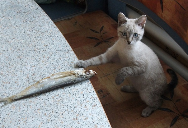 №15, Денис Хрипунов, 50 лет, Челябинск №15, Денис Хрипунов, 50 лет, Челябинск