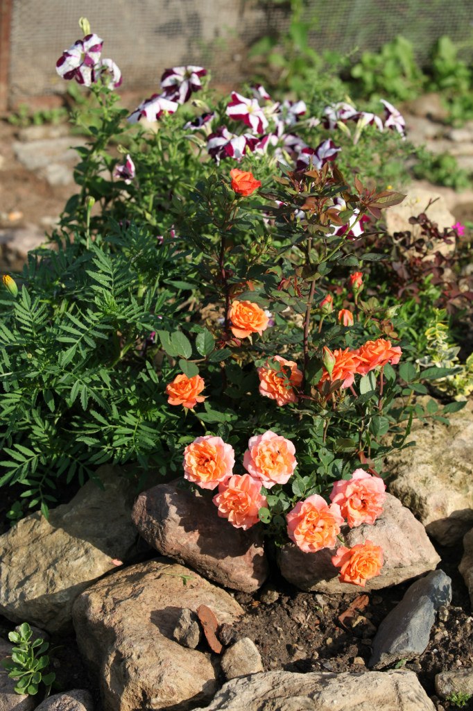 Максим Гречухин | Санкт-Петербург