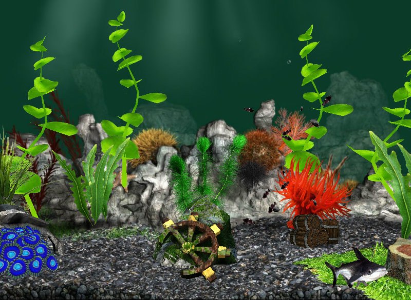 Карина Назарько &^kot^& | Харьков