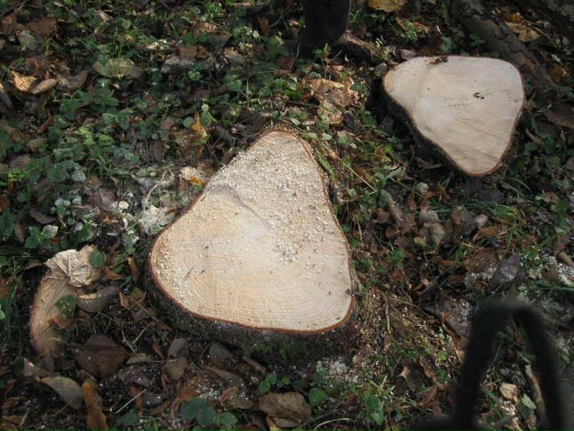 №44, Александр Тамби, 41 год, Санкт-Петербург, Россия №44, Александр Тамби, 41 год, Санкт-Петербург, Россия