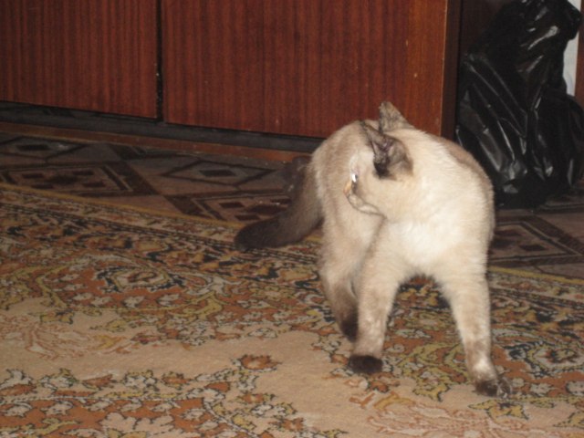 Надежда Пахомова | Омск