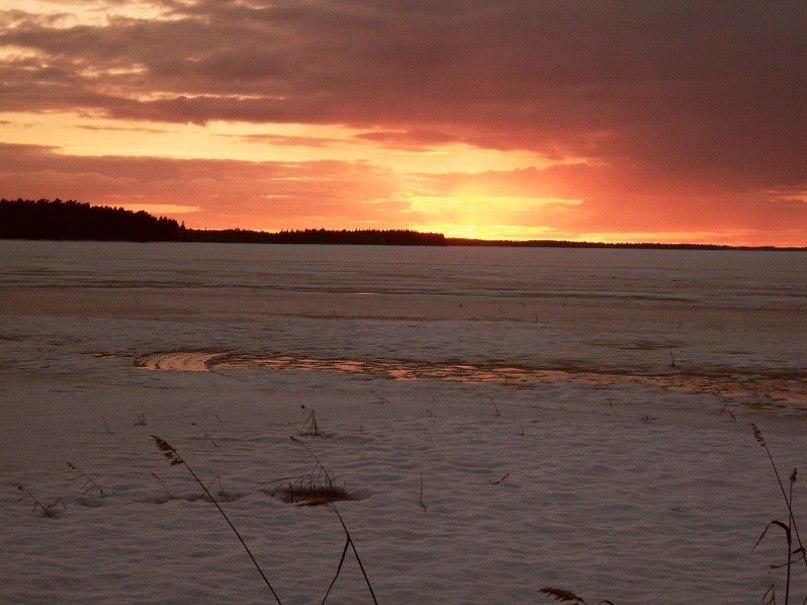 Олег Фокин | Кемь