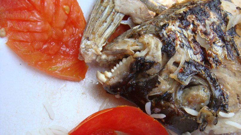 Никита Егоров | Phuket