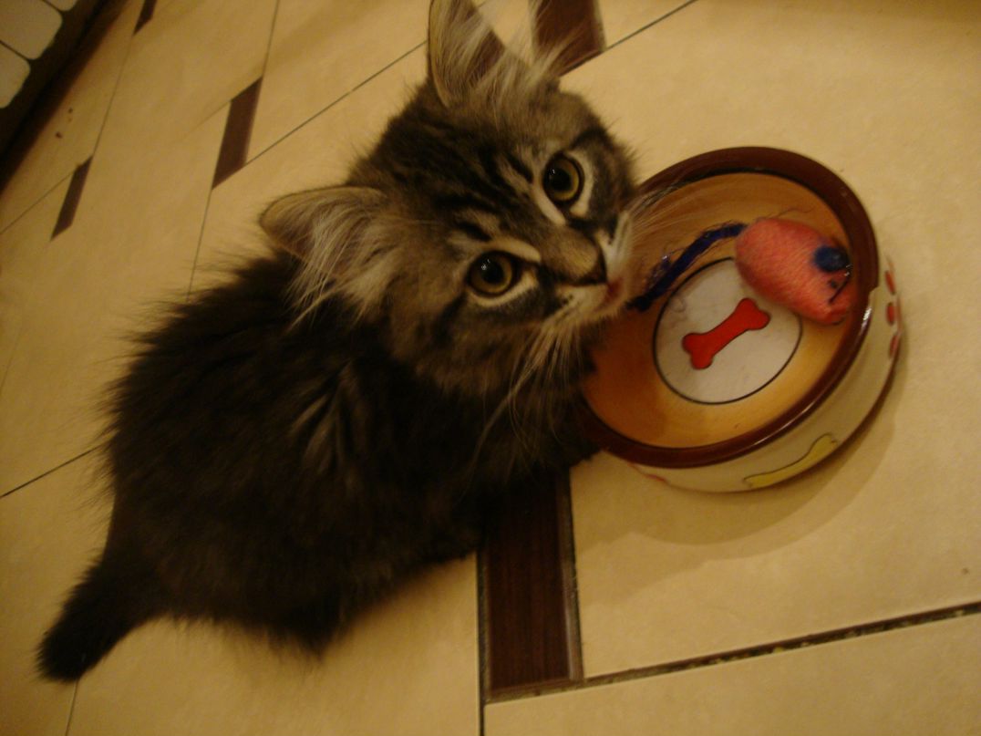 Татьяна Сухенко | Санкт-Петербург