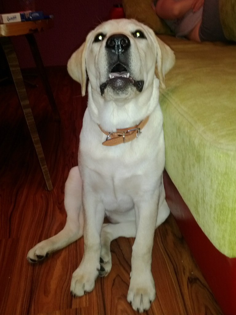 Михаил Пятаков *PiF* | Пермь