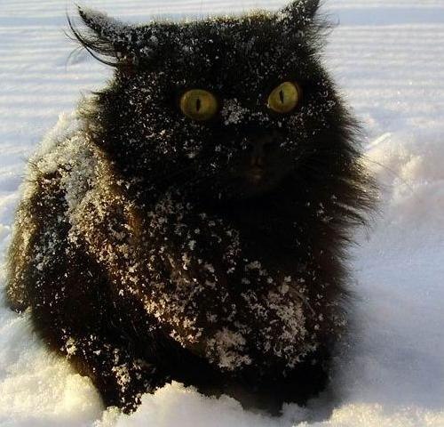 Володя Левковский | Москва