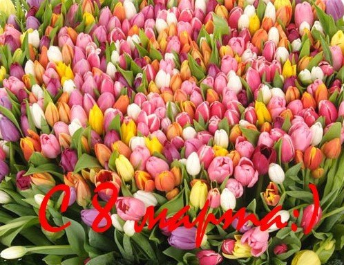 Виктория Никифорова ♥ | Серпухов