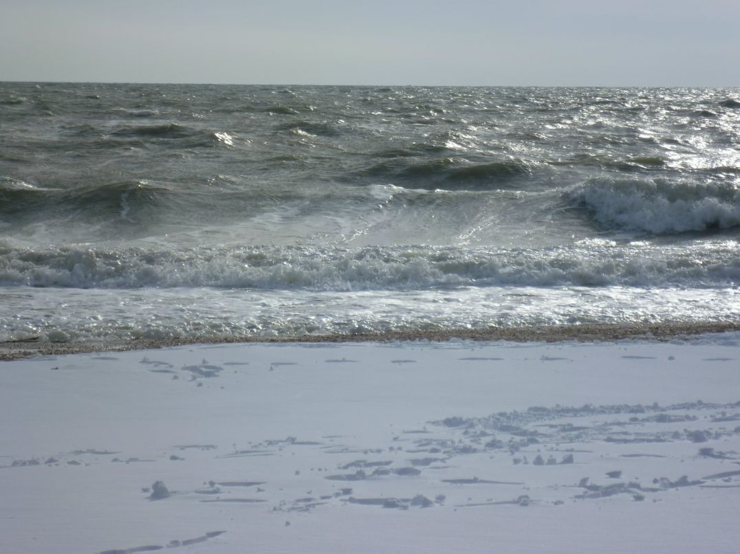 Димон Джаловский ~работаю~ | Кирилловка