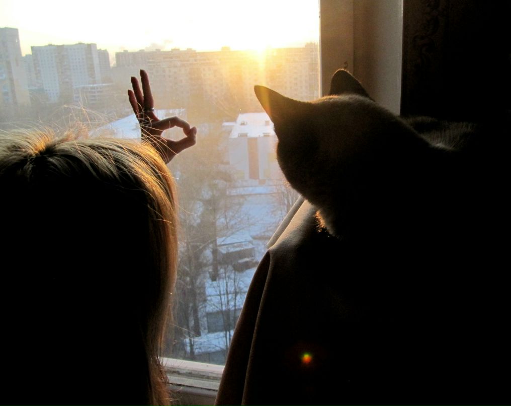 Сандра Черезова | Москва