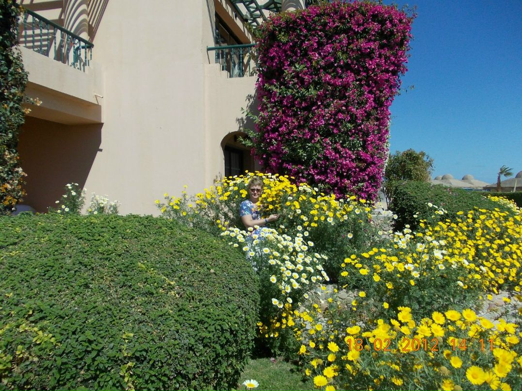 Татьяна Куликова/Шуйгина/ Викторовна | Мурманск