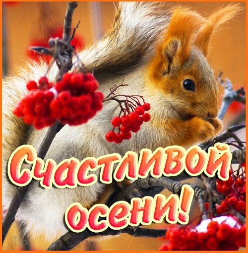 №50, Ксения Ефимова, Евпатория №50, Ксения Ефимова, Евпатория