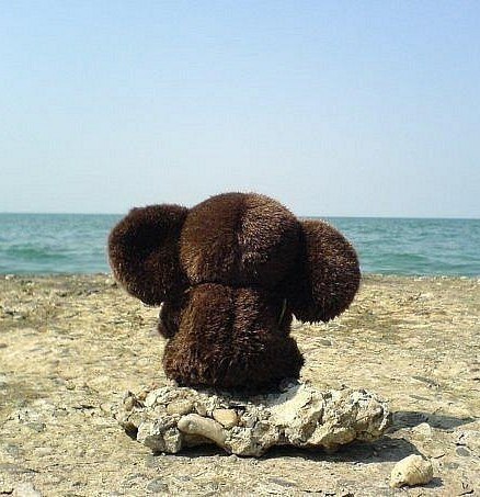 Анна Смахтина | Москва