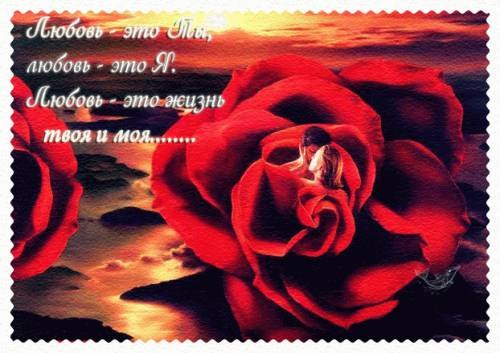 Олег Тюкалов | Курган