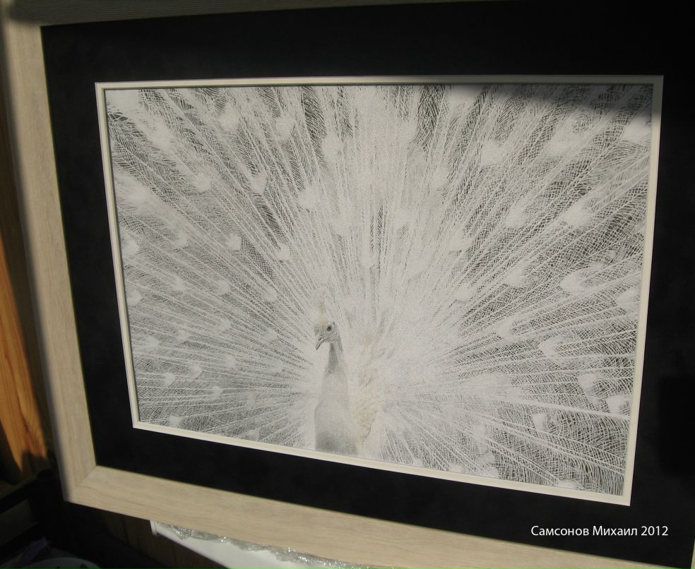 Михаил Самсонов | Киев