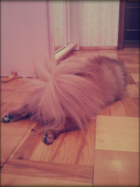 №23, Яна Бесмельцева, Москва, Россия №23, Яна Бесмельцева, Москва, Россия