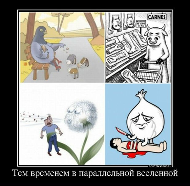 №29, Антон Кармагецкий, Хайфа №29, Антон Кармагецкий, Хайфа