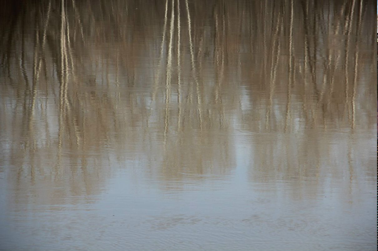 Алексей Федулкин | Новокузнецк