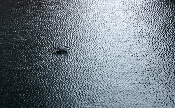 Инна Лёберманн | Москва