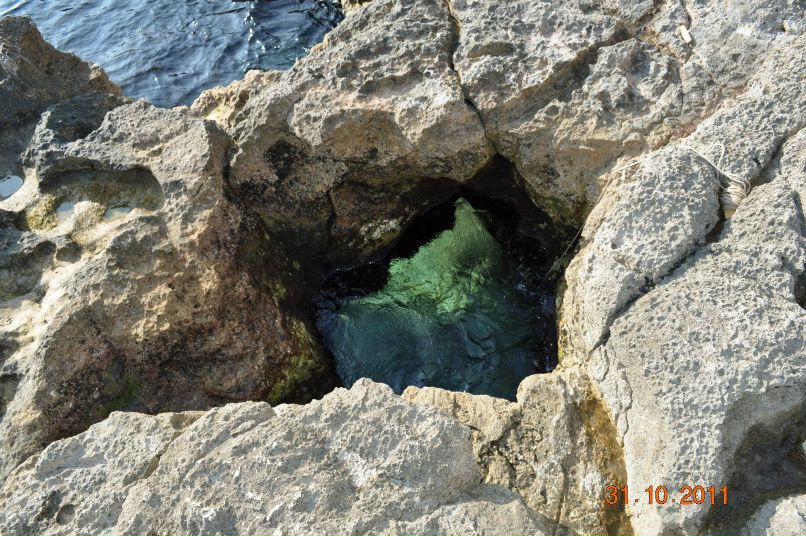 Руслан Васильев | Севастополь