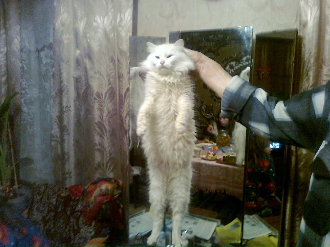 Паша Куценко | Киев