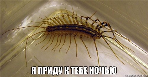 №102, Александр Ломтев, 31 год, Днепр (Днепропетровск) №102, Александр Ломтев, 31 год, Днепр (Днепропетровск)