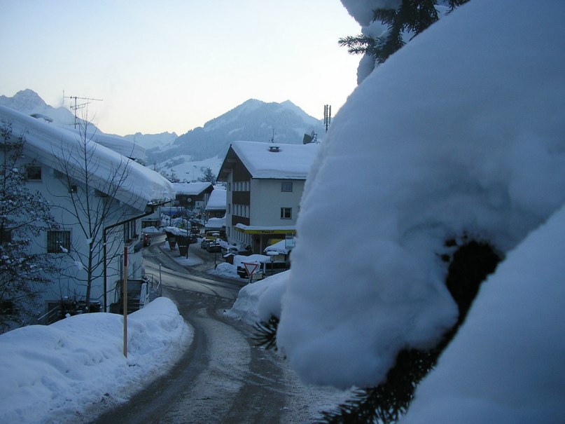 Hecke Masya | Hamburg