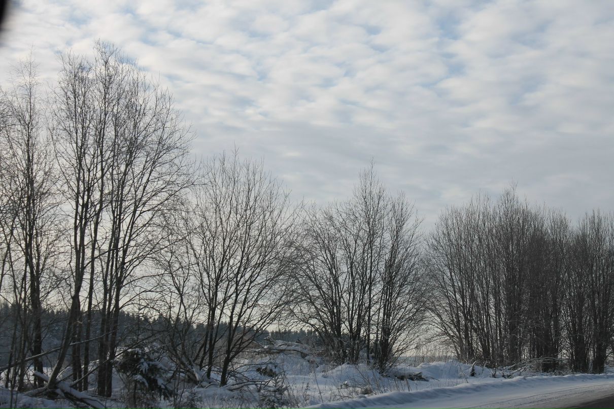 Станислав Шустеров -=D.E.L.™=- | Санкт-Петербург