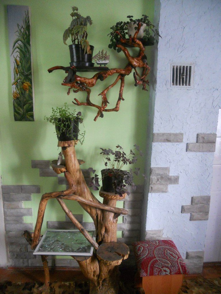 Любомир Цимболинец | Свалява