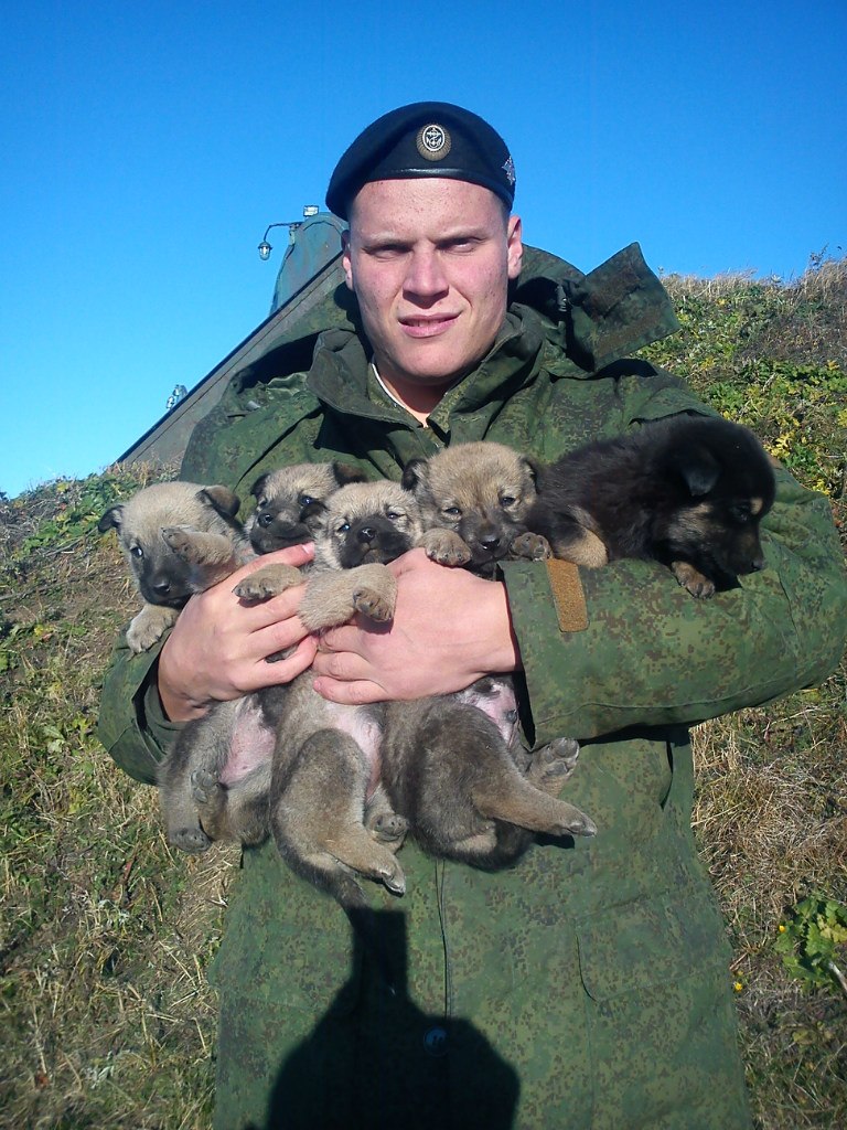 Анатолий Курилов Михайлович | Минусинск