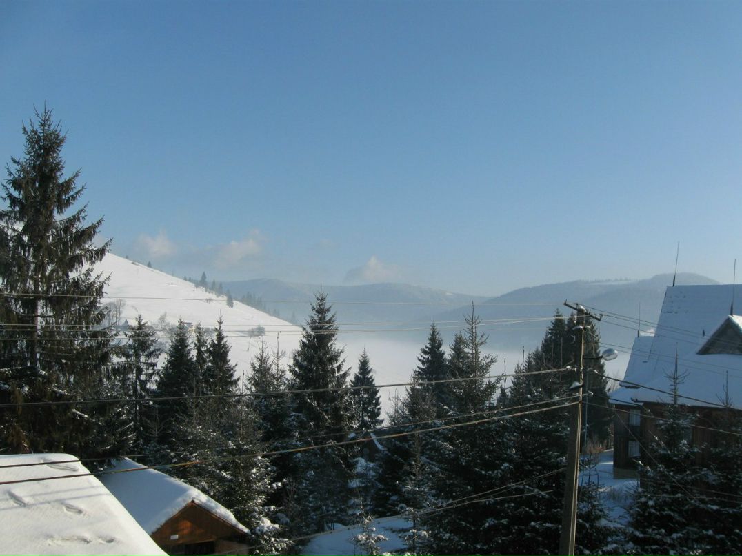 American Terorist أنا أنت يتلقّى تبحث | Киев