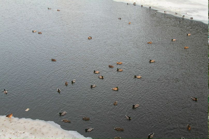Виктория Хемфилл | Омск