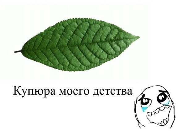 Zinulya Stoletneva | Москва