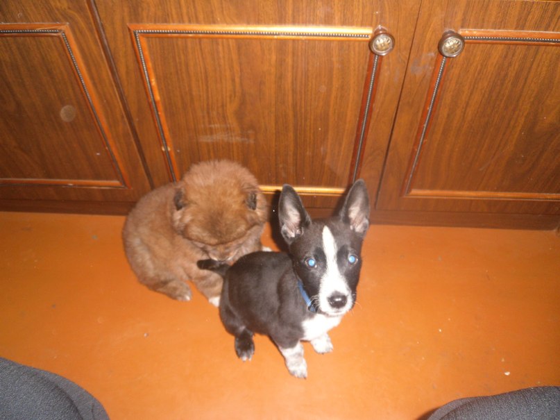 Ольга Ненашева | Новодвинск