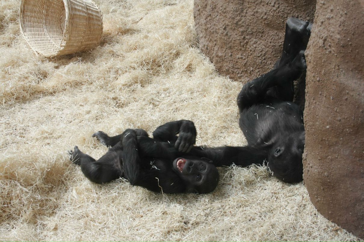 Евгения Прок | Санкт-Петербург