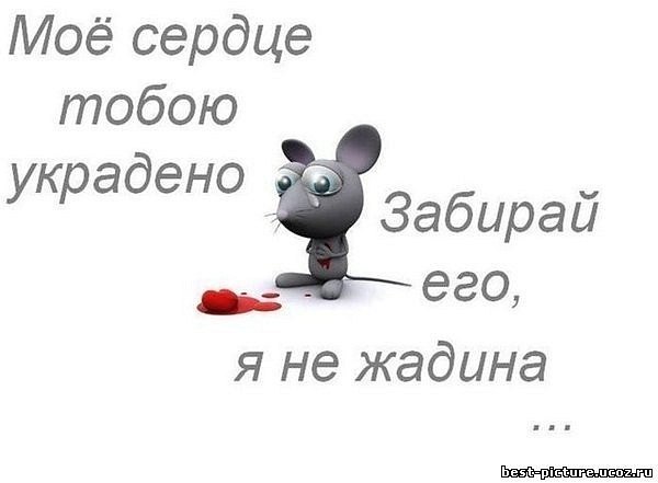 Анастасия Никифорова | Конаково