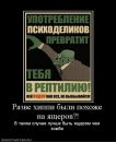 Фотография Хвойное Дерево