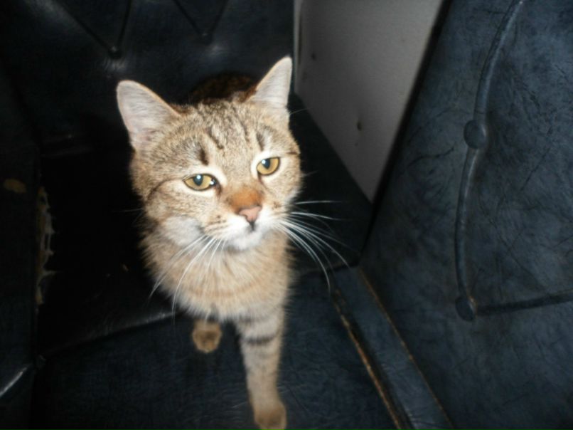 Анастасия Смирнова Ивановна | 