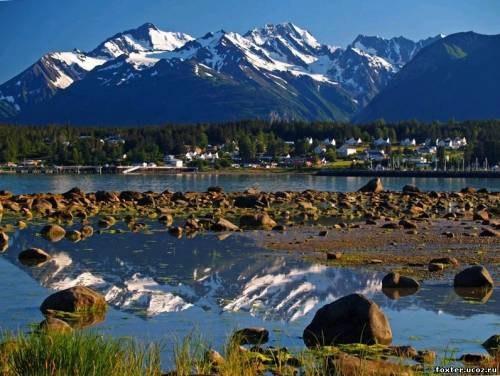 Елена Зайцева | Москва