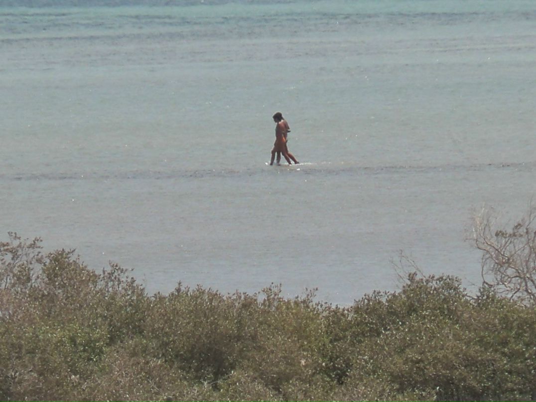 Виктория Комарова | Нижний Тагил