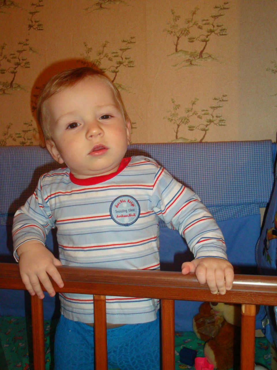 Евгения Чудакова-Шпынова | Санкт-Петербург