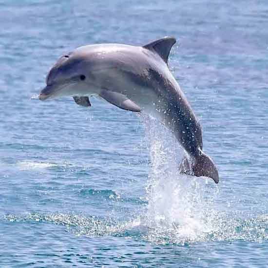Кристина Астафьева | Санкт-Петербург