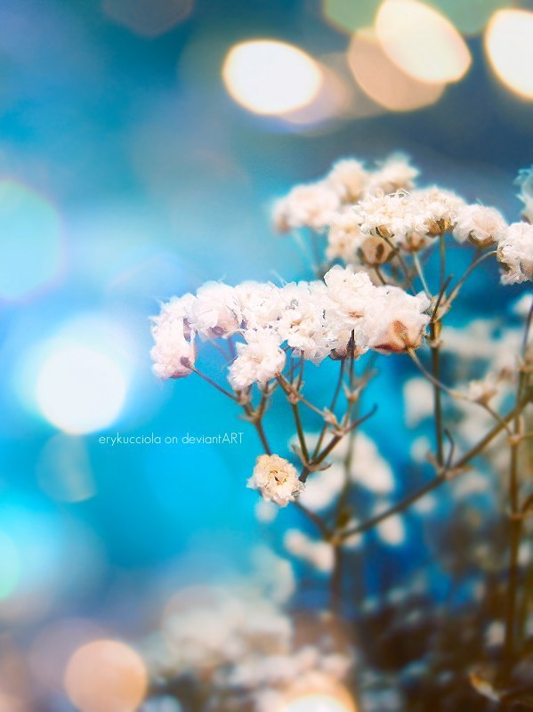 Лидия Кохановская | Одесса