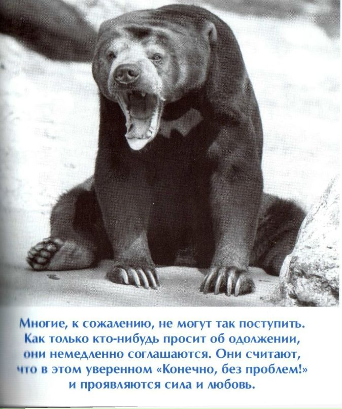 Данила Герщук | Воронеж